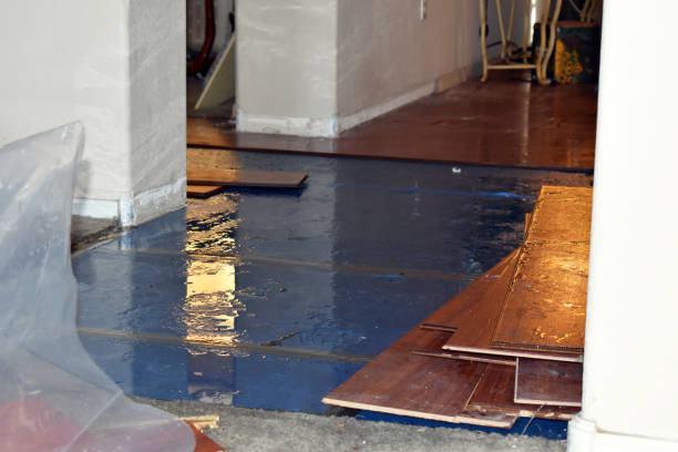 Professional Flood Damage Restoration technician working in Irene, SD